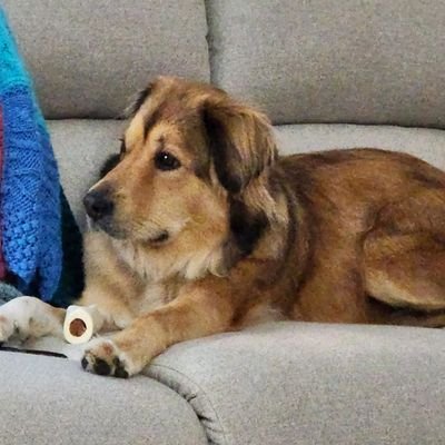 Here for local information, Philly sports, music, and fun.
No interest in your political views. Will block anyone being hateful.
Skanks, keep out!
No DMs.
