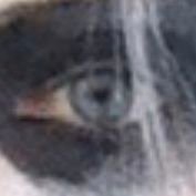 zephemiah's profile picture. artist. teacher. person mum. dog mum. lutruwita/Tasmania. she/her 
🇺🇦🏳️‍🌈🏳️‍⚧️ 💉💉💉💉