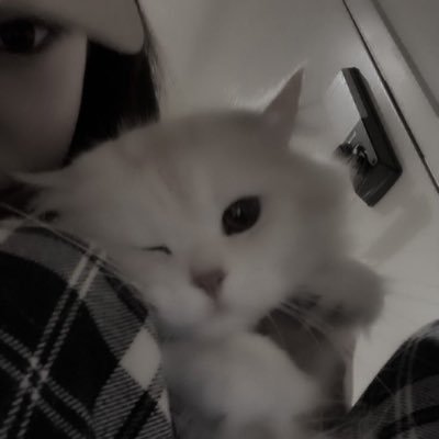 _zulkovska_'s profile picture. nic