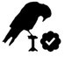 O Corvo (@0c0rv0) Twitter profile photo O Corvo (@0c0rv0) Twitter profile photo