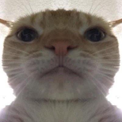 maris_thromycin's profile picture. From study twt to finally an RPh. #Nov2022 🙏🏻🦋