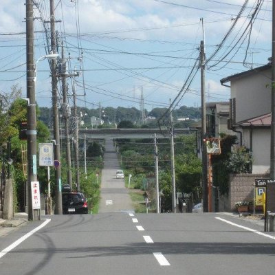 数学とか語学とか楽しいよね