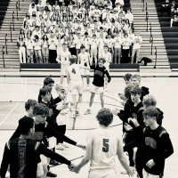 Logan Baumgartner (@baumgartner55) 's Twitter Profile