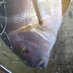 @k (@b__fishing) Twitter profile photo @k (@b__fishing) Twitter profile photo