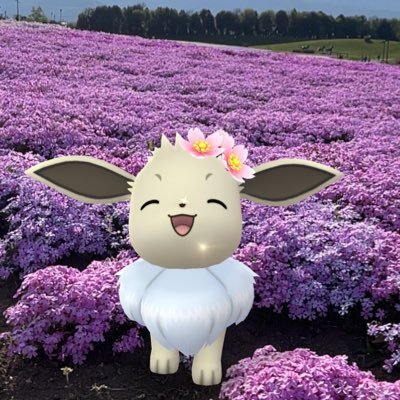 好き→フィッシャーズ/ディズニー/ダッフィーフレンズ/ポケモンGO/(長野県松本市周辺)