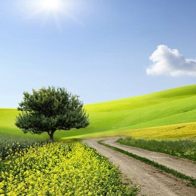 Shaunbarly's profile picture. HOW ARE YOU