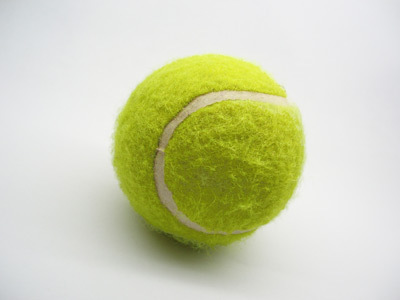 tennisabides's profile picture. Dan Martin's Tennis Site