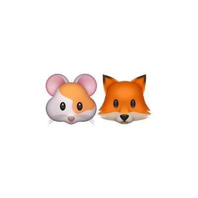 rensungfile's profile picture. for universemates, 지성 & 런쥔 🔭