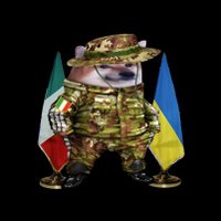 ITA/UKT ๐ฎ๐น ๐บ๐ฆ ๐ช๐บ #NAFO Fella #FBPE (@patrickdalio) 's Twitter Profile