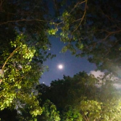 ohdeppya's profile picture. hei warga pas lagi susah-susahnya