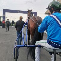 Stall SoFo (@stallsofo) 's Twitter Profile Photo