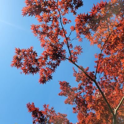 PIFdT4T6jFwASwz's profile picture. WOW