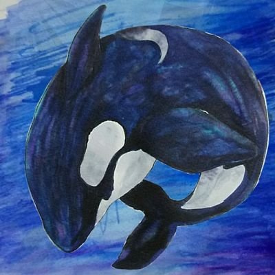 若さんのプロフィール画像