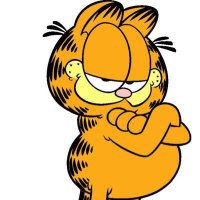 Garfield(@caro4ontario) 's Twitter Profile Photo