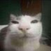 elwn (@j129an) Twitter profile photo elwn (@j129an) Twitter profile photo