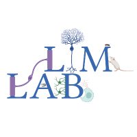 Lim Lab (@limlabyale) 's Twitter Profile Photo Lim Lab (@limlabyale) 's Twitter Profile Photo