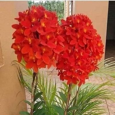 Nishasarda10871's profile picture. 
