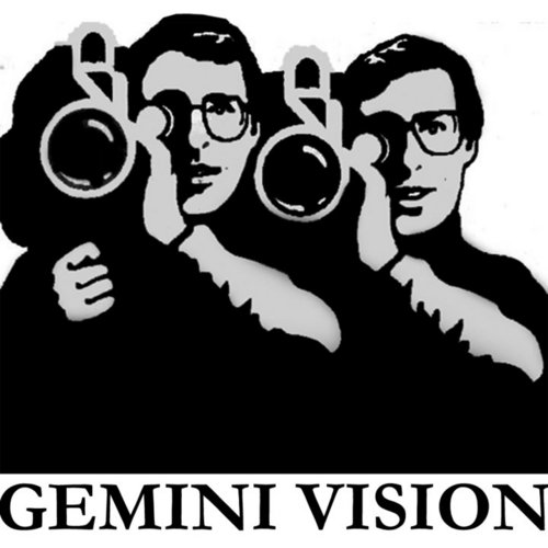 Gemini Vision