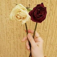 Ana Om Noor (@anaomnoor1) 's Twitter Profile