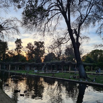 sara_c_r's profile picture. 