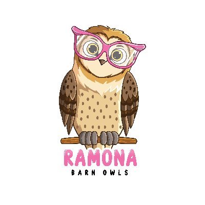 ramona barn owls are a group of barn owls in ramona ca that are live streamed all over the world. the link in our bio is our website:)