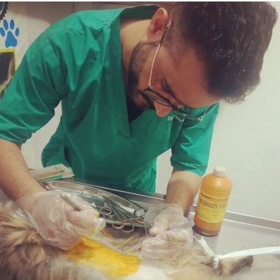 Vetspassions's profile picture. Veterinarian 💉 🐶 🐈 🐎...

Pet's Practitioner ......

Online Consultancy ......

Rescue Abandoned Animals