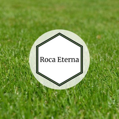 RocaEterna_ Profile Picture