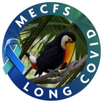 vet_lpz's profile picture. veterinarian | hobby photography | mountaineering | life on pause since 09/22 | #MECFS | #LongCovid | #POTS | #FCKNZS | #TransRightsAreHumanRights