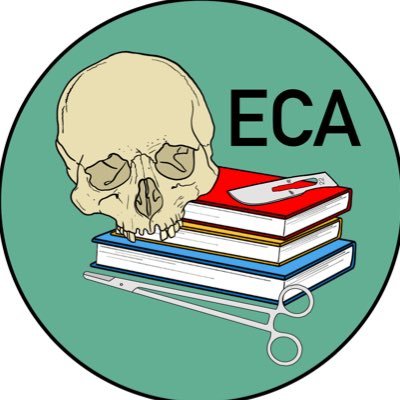 A group for those who consider themselves to be an early career anatomist or looking to begin a career in anatomy. @ECAnatomists on all socials. By @KPhillips92