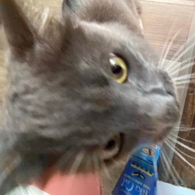 liz6ethhh's profile picture. #1 yoongi lover; born to be moa ˚ʚ♡ɞ˚