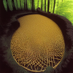 zen mental (@zenmental193402) Twitter profile photo zen mental (@zenmental193402) Twitter profile photo