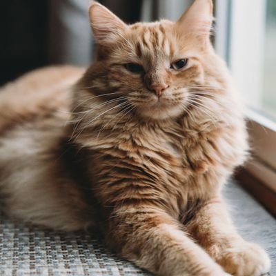 YdraGamingYT's profile picture. 