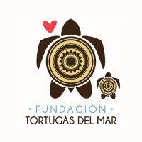 Conservando 𓆉 marinas y sus ecosistemas(@Tortugasdelmar) 's Twitter Profile Photo