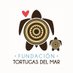 Conservando 𓆉 marinas y sus ecosistemas (@tortugasdelmar) Twitter profile photo Conservando 𓆉 marinas y sus ecosistemas (@tortugasdelmar) Twitter profile photo