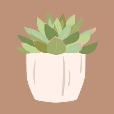 Using succulent care as a form of self care 🪴