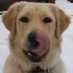 Budreaux (@coatebuddy92195) Twitter profile photo Budreaux (@coatebuddy92195) Twitter profile photo
