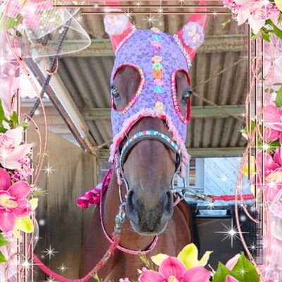 藤田厩舎🐎デコメンコ💞ハナ🌸モモ🍑達の日常を中心に
呟いてます🎵レースの時とは違い❣️普段はそれぞれ🌸個性があり❤️面白いです。インスタもやってます。よろしく(⁠ ⁠˘⁠ ⁠³⁠˘⁠)⁠♥https://t.co/wPYUL7L3Ac