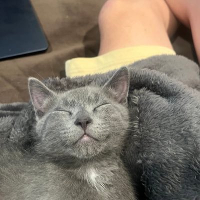 Youngbenadryl's profile picture. 