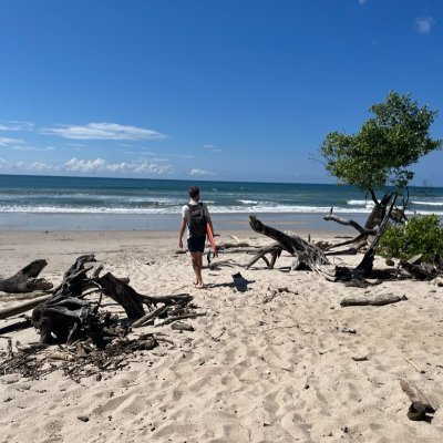 W3B_surf3r's profile picture. @StrategProtocol Strategist