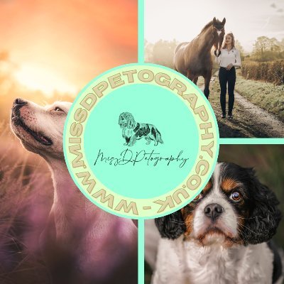 Pet Photographer, based in Dudley, West Mids, UK. Sharing stories through images - and making the link between pets, photography, and mental wellbeing!
