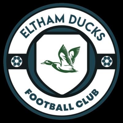 A recently formed team playing in WESFA Division 4. Up the ducks #quack 🦆