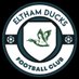 Eltham Ducks FC (@elthamducks) Twitter profile photo Eltham Ducks FC (@elthamducks) Twitter profile photo