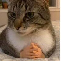 a0is (@a0is2) 's Twitter Profile