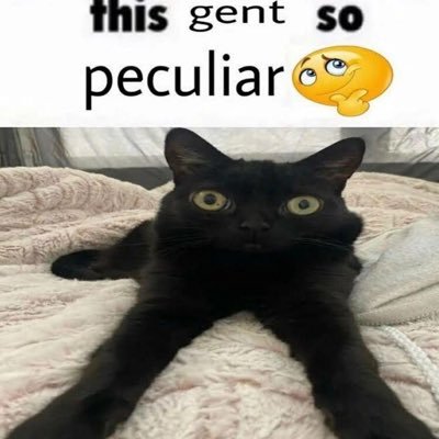 minxajax's profile picture. born too early to be silly, born too late to be goofy