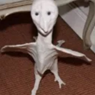 movedさんのプロフィール画像