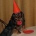 I'm Vênus (@venusthevenus) Twitter profile photo I'm Vênus (@venusthevenus) Twitter profile photo