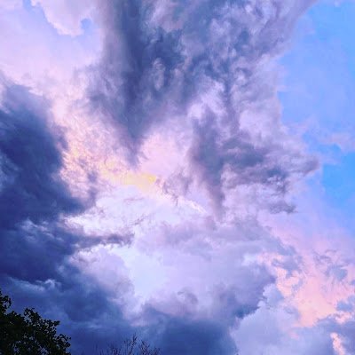 Lolimgayh's profile picture. yes I took those pictures, no I’m not a professional, no I’m not gay my friend created my account. have a good day, love you all🩷.   insta: @7945nemo