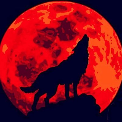 Dark Night Profile