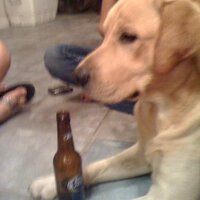 Joseph Decell™ (@realunclejoee) 's Twitter Profile