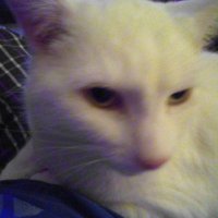 James the Extremist. (@cleo04530) 's Twitter Profile